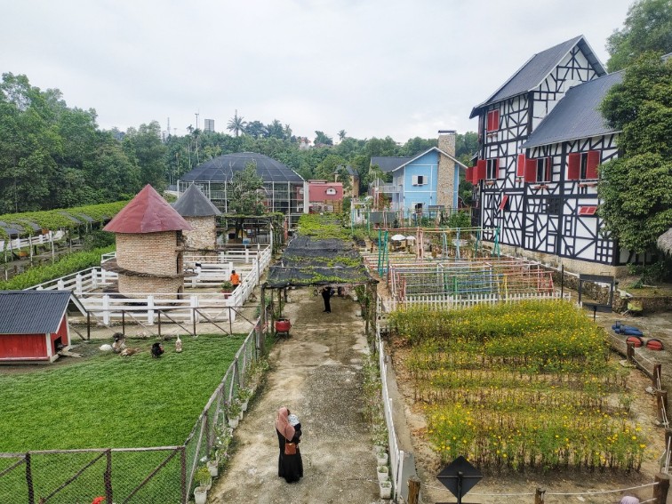 Wisata Edukasi Pekanbaru, Asia Farm Hayday (foto/ist)