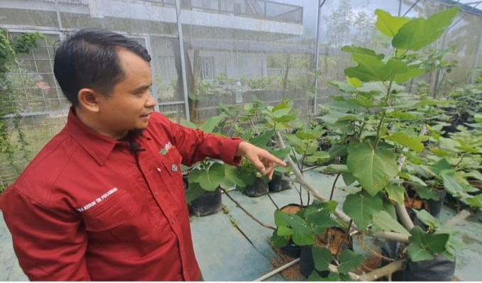 Owner Kebun Tin Pekanbaru, Imran (foto/istimewa)